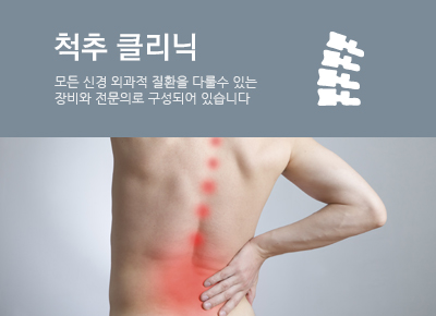 척추 클리닉