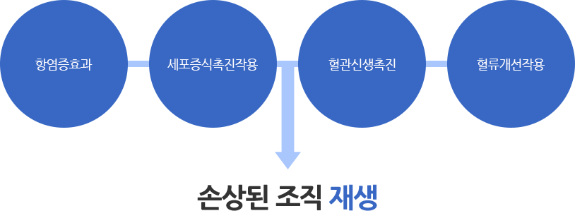 PDRN 치료 기대효과 상세설명 이미지