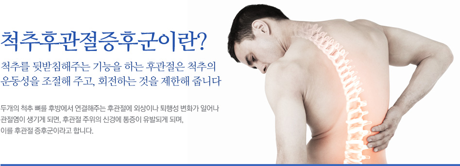 척추후관절증후군이란? 척추를 뒷받침해주는 기능을 하는 후관절은 척추의 운동성을 조절해 주고, 회전하는 것을 제한해 줍니다. 두개의 척추 뼈를 후방에서 연결해주는 후관절에 외상이나 퇴행성 변화가 일어나 관절염이 생기게 되면, 후관절 주위의 신경에 통증이 유발되게 되며, 이를 후관절 증후군이라고 합니다.