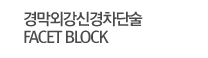 경막외강신경차단술  FACET BLOCK