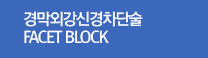 경막외강신경차단술  FACET BLOCK